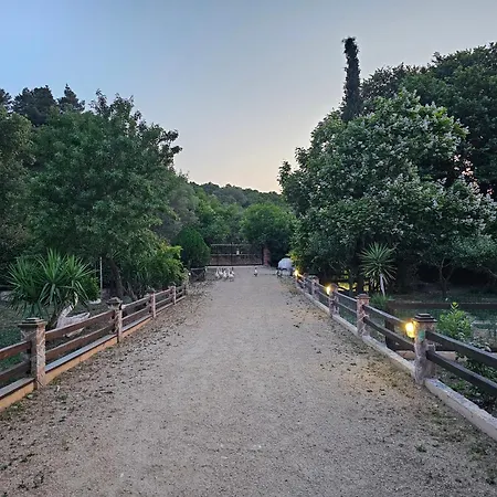 Villa Paradisedream Néa Ródha