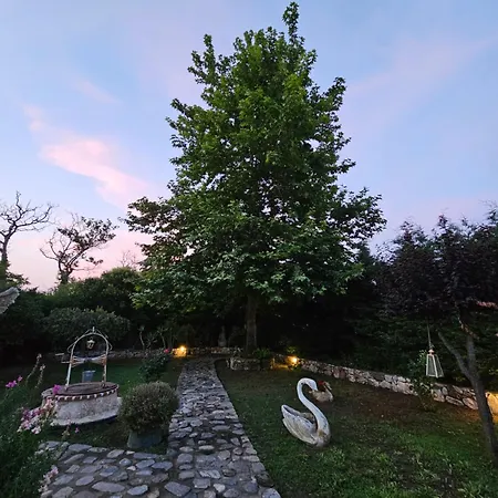 Villa Paradisedream *