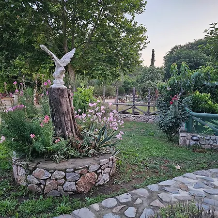 Villa Paradisedream *