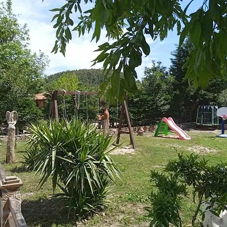 Paradisedream *