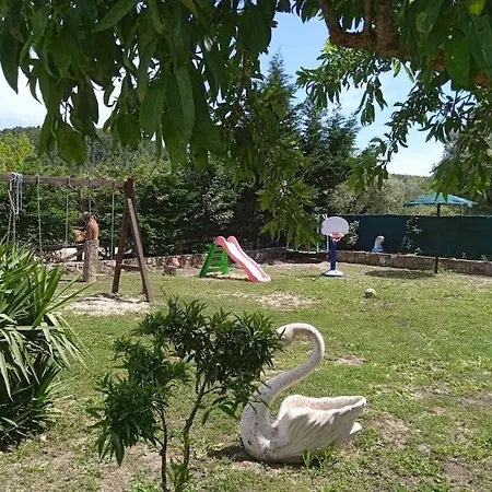 Paradisedream Villa