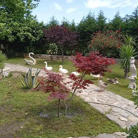 Paradisedream Villa *