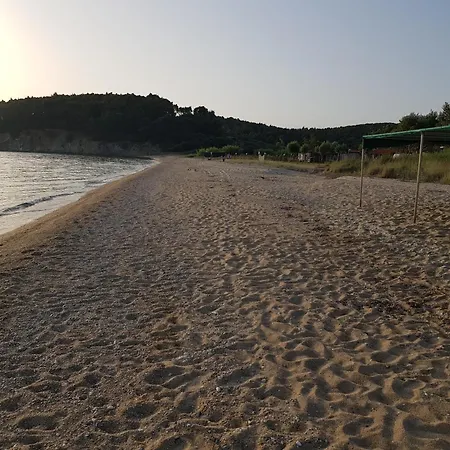 Paradisedream